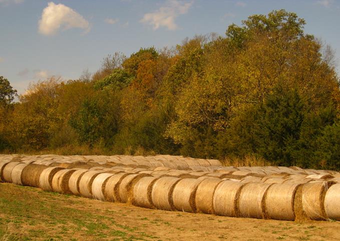 Hay Bales