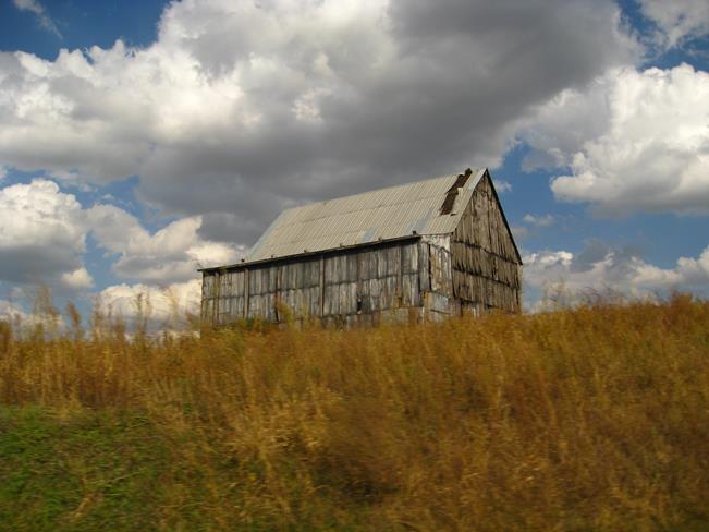 Tobacco Barn